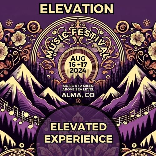 2024 Elevated Experience Elevation Music Festival Advanced ticket